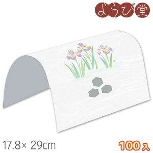 h[| Ҋi4`5j100 17.8x29cm