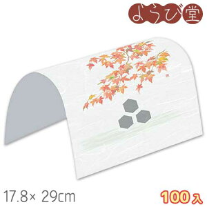 h[| ci10`11j100 17.8x29cm