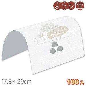 h[| ͂ 100 17.8x29cm