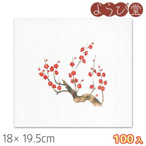 ���ԕۑN�� �� �~�i1���`3���j100���� 18x19.5cm