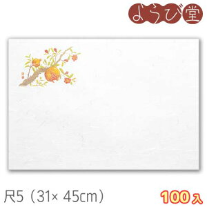 5 lG i8`9j100 31x45cm