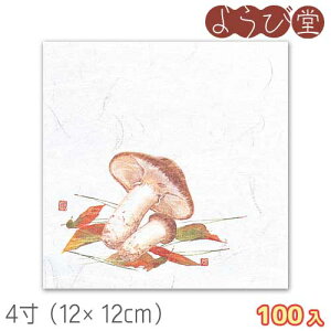 4 OP Ε~ i8`10j100 12x12cm