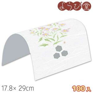 h[| ei9`11j100 17.8x29cm