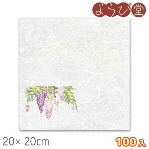 VEG򏑎 i4`5j100 20x20cm