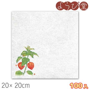 VEG򏑎 قi6`8j100 20x20cm