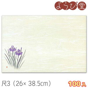 y݌Ɍz3 n Ҋi4`5j100 26x38.5cm