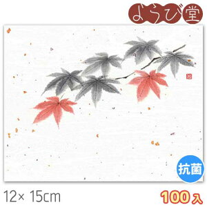 4x5 ԕ Ԃ݂i9`11j100 12x15cm