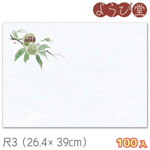 3 ԍ Ii8`10j100 26.4x39cm