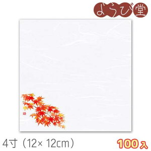 4 lG _~ Ԃ݂i10`11j100 12x12cm