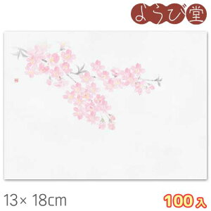�l�G�� �N�x�ێ��� ���i3���`4���j100���� 13x18cm