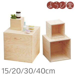 HP 5ʑ DP BOX h 15/20/30/40cm