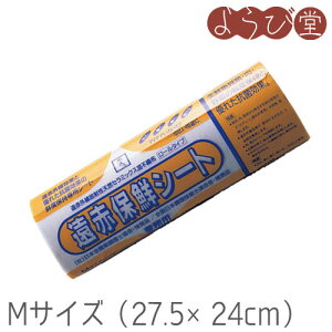 ���ԕۑN�V�[�g ���[���^�C�v M�T�C�Y 100���� 275mmX240mm