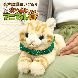 音声認識 ぬいぐるみ よんで！ だっこして！ おへんじアニマル 猫 おしゃべり ぬいぐるみ 猫 しゃべる ぬいぐるみ 癒しグッズ しゃべる おもちゃ 誕生日プレゼント 高齢者 子供 おもちゃ 誕生日 プレゼント 高齢者施設 介護 知育玩具 知育おもちゃ 贈り物 敬老の日