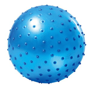 rbOC{C{{[ {[ ^_o ^ X|[cߋ av[g q NX}Xv[g q  j̎q ̎q w X|[cߋ ^ObY ct ۈ牀 ^