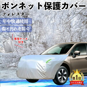 y|Cg10{ zXo tHX^[ XV GTn {lbgJo[ htgیJo[ ԃJo[  Ăh~ A`GCWO ho u YouCar