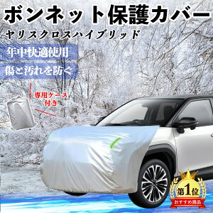 y|Cg10{ zg^ XNXnCubh {lbgJo[ htgیJo[ ԃJo[  Ăh~ A`GCWO ho u YouCar