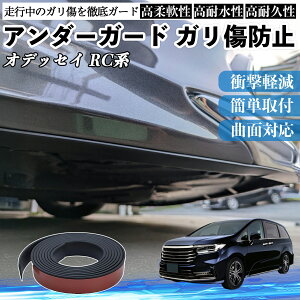 �y�|�C���g10�{ ���������z�{�c �I�f�b�Z�C RC�n �A���_�[�K�[�h �K�����h�~ �A���_�[�v���e�N�^�[ �o���p�[�K�[�h �G�A���K�[�h ���[�� ���B�� YouCar