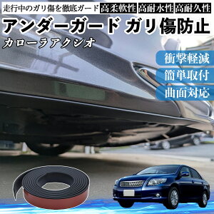 �y�|�C���g10�{ ���������z�g���^ �J���[���A�N�V�I �A���_�[�K�[�h �K�����h�~ �A���_�[�v���e�N�^�[ �o���p�[�K�[�h �G�A���K�[�h ���[�� ���B�� YouCar