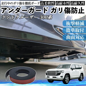 �y�|�C���g10�{ ���������z�g���^ �����h�N���[�U�[ 300�n �A���_�[�K�[�h �K�����h�~ �A���_�[�v���e�N�^�[ �o���p�[�K�[�h �G�A���K�[�h ���[�� ���B�� YouCar