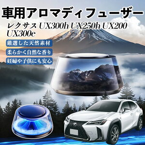 y|Cg10{ zNTX UX300h UX250h UX200 UX300e  F [dA}fBt[U[ 8F͋CCg 3{t 2025V^ L CF  YouCar