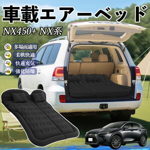 �y�|�C���g10�{ ���������z���N�T�X NX450+ NX350h NX350 NX250 NX200 �Ԓ����}�b�g �G�A�[�x�b�h �G�A�[�}�b�g �J�[�}�b�g���X �Ԓ��� ���� �㕔���� ���s�p �d���|���v YouCar