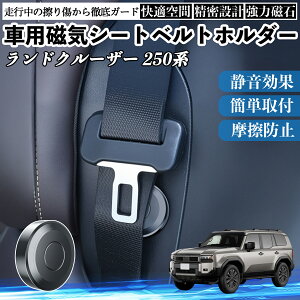 y|Cg10{ zg^ hN[U[ 250n CV[gxgz_[ V[gxgŒNbv Xgbp[ Ύ Ռ h~ Œ  2 YouCar