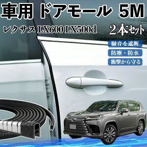 y|Cg10{ zNTX LX600 LX500d  hA[ hAGbW[ hAK[h veN^[ U^ h~ ی ጸ 5M 2{Zbg YouCar