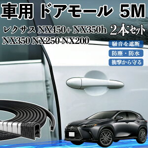 NTX NX450+ NX350h NX350 NX250 NX200  hA[ hAGbW[ hAK[h veN^[ U^ h~ ی ጸ 5M 2{Zbg YouCar