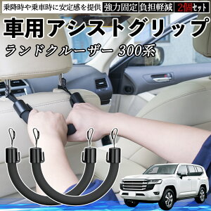 y|Cg10{ zg^ hN[U[ 300n ԗp AVXgObv ZteB[Obv V[gtbN AVXgnh 㕔 ⏕ 2Zbg YouCar