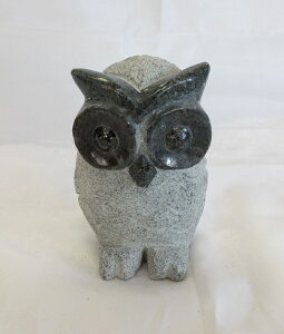 G654ӂ낤@O[΂̒u 100 0.825kg