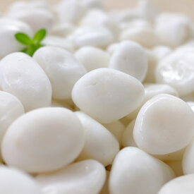 砂利 白 庭づくり 高級白玉砂利 白仙 8分 24mm 10kg 砂利 白玉 送料無料