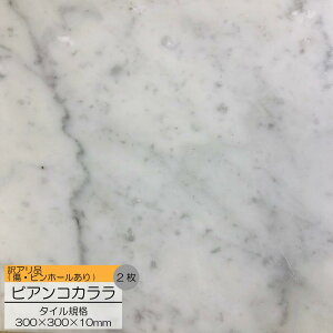 Ai VR 嗝 rARJ  2 300x300x10 mm  }[u ͗l rAR J[  z ^C