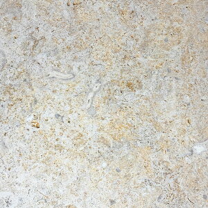 R[Xg[ 300x300x20 3.3kg ` ΊD  ~  Av[`