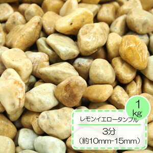 かわいい 砂利の人気商品 通販 価格比較 価格 Com