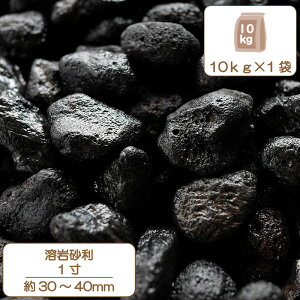   Av[` Ԓd n⍻ 1 28-35mm  oXg[ ANAE  CAEg O\  VR ύ K[f diy 