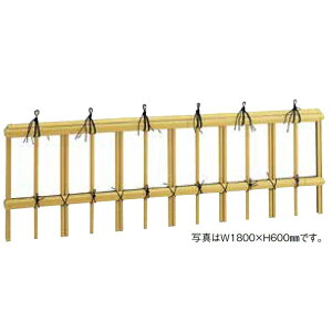  GCR[jbgEBOےpt_38 (CG[) WT800xH610mm