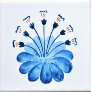 ycoasterszDaisy Blue(ڂ)