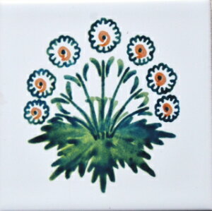 ycoasterszDaisy Green