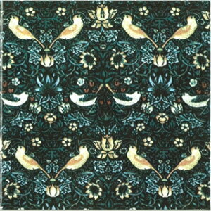 ycoasterszStrawberry@Thief@Green