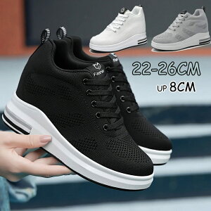 ���� �X�j�[�J�[ ���f�B�[�X ����X�j�[�J�[ 8CM �C���q�[���X�j�[�J�[ �E�H�[�L���O�V���[�Y ���r �r�� �� ���X�j�[�J�[ �X�^�C���A�b�v �y�� �n�C�J�b�g ����V���[�Y ���ꂢ�� ����C ��