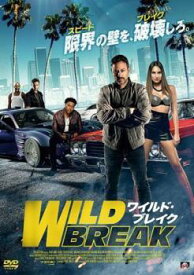 【中古】 ワイルド・ブレイク [レンタル落ち] [DVD]