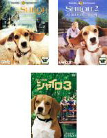 楽天市場 ビーグル犬 シャイロ3の通販