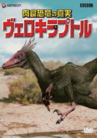 【中古】DVD▼肉食恐竜の真実 ヴェロキラプトル レンタル落ち