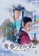 【中古】 青春ウォルダム 呪われた王宮 (10巻セット) 【字幕】 [レンタル落ち] [DVD]