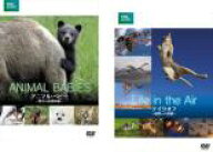 【処分特価・未検品・未清掃】2パック【中古】DVD▼BBC EARTH ネイチャー・ドキュメンタリー(2枚セット)…