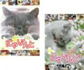 2パック【中古】DVD▼にゃんこんと ホントはこんなこと言ってたりして(2枚セット)くすっと笑えるネコネコ動画 + 2 キャット驚くオモシロねこ動画 レンタル落ち 全2巻