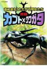 【中古】DVD▼激闘 カブト×クワガタ あつまれ!たたかう甲虫たち レンタル落ち
