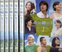 楽天市場】牛に願いを dvdの通販 