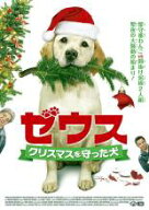 【処分特価・未検品・未清掃】【中古】DVD▼ゼウス クリスマスを守った犬 レンタル落ち