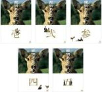 楽天市場】鹿男あをによし DVD（TVドラマ｜DVD）：CD・DVDの通販 